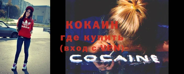 таблы Новозыбков