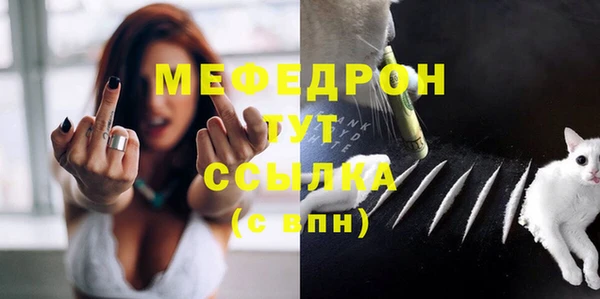 СК Новодвинск