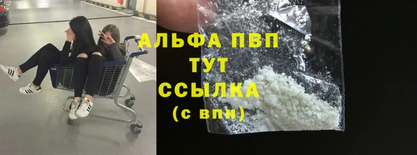СК Новодвинск