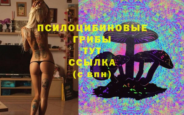 таблы Новозыбков