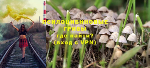 СК Новодвинск