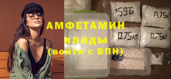 СК Новодвинск