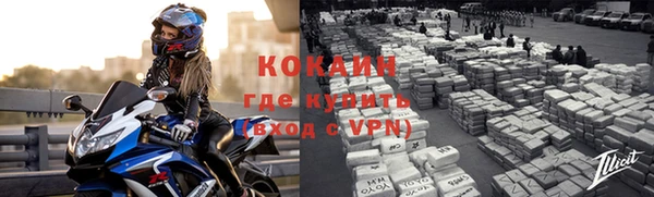 таблы Новозыбков
