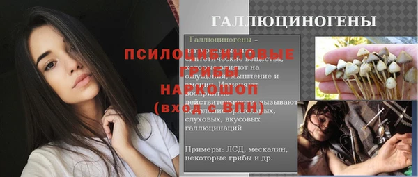 таблы Новозыбков