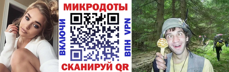 Псилоцибиновые грибы GOLDEN TEACHER цена наркотик Инсар